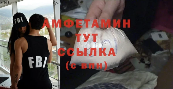 мдпв Каменка