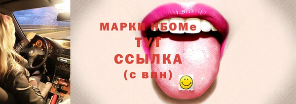 мдпв Каменка