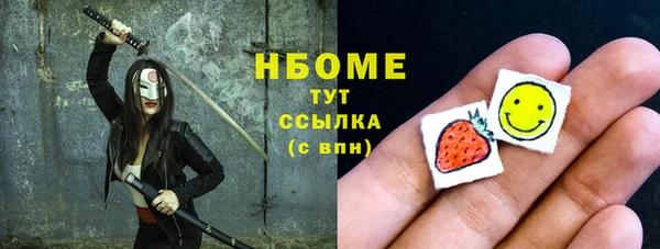 мдпв Каменка