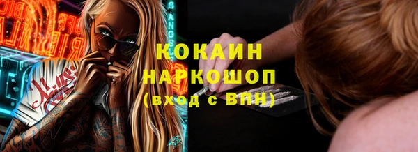 мдпв Каменка
