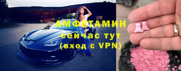 мдпв Каменка